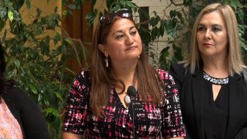 080323C02 DECLARACIONES DIPUTADAS CONGRESO (02)