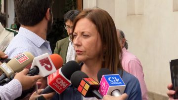 10032321 DECLARACIONES DE LA PRESIDENTA DEL PPD, NATALIA PIERGENTILI, TRAS CAMBIO DE GABINETE (01)