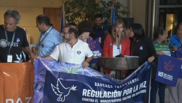 130323C07 CÁMARA DE DIPUTADOS APRUEBA LEY DE CULTIVO SEGURO 00