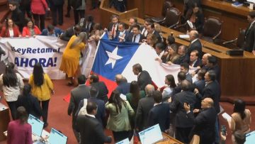 290323C13 APOYO LEY RETAMAL (01) (1)