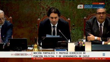 05042309 CÁMARA DE DIPUTADOS VOTA LEY NAIN RETAMAL (01)