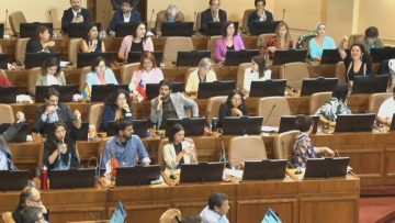 050423C19 APOYO CÁMARA DE DIPUTADOS VOTA LEY NAIN RETAMAL (01) (1)