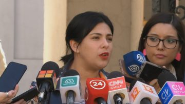 24042305 PUNTO DE PRENSA DIPUTADA CARIOLA 03 (1)