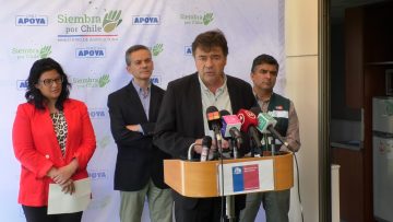 24042308 SITUACION DE LA INDUSTRIA DE LOS HUEVOS DEL ARROZ 01