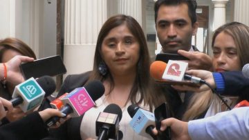27042303 SENADORA CAMPILLAI PRESENTA SOLICITUD DE DESAFUERO DE LA DIPUTADA CORDERO 02
