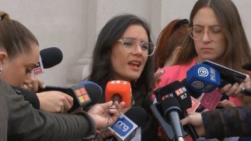12052302 DECLARACIONES DE MINISTRA VALLEJO TRAS CONSEJO DE GABINETE 01