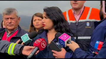 13052303 DELEGADA DE VALPARAÍSO SE REFIERE A LOS INCENDIOS FORESTALES DE LA ZONA 01