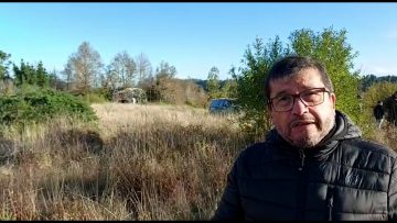 10062309 DECLARACIONES DELEGADO PRESIDENCIAL DE LA PROVINCIA DE ARAUCO 02