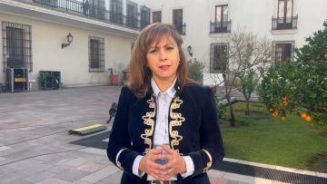 14062302 SENADORA LORETO CARVAJAL TRAS REUNIÓN CON SUBSECRETARIO DEL INTERIOR 02