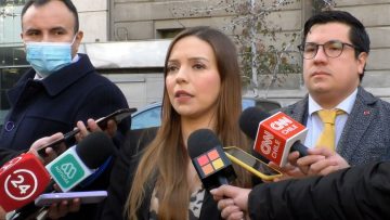 03072302 DIPUTADA FLORES SOLICITA CADUCAR PERSONALIDAD JURÍDICA DE CORPORACIONES Y FUNDACIONES INVESTIGADAS 08