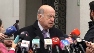 20072306 DECLARACIONES SENADOR INSULZA 02 (1)