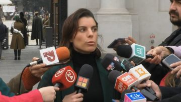 20072317 DECLARACIONES DIPUTADA ORSINI 02