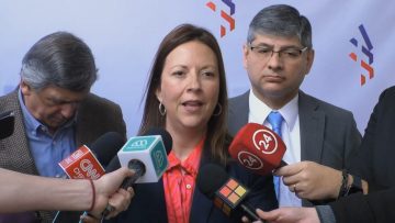 28072305 DECLARACIONES PRESIDENTES DE PARTIDOS OFICIALISTAS 03