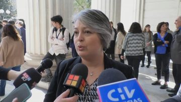 29082308 PUNTO DE PRENSA MINISTRA JARA POR MUERTE DE GUILLERMO TEILLIER 02