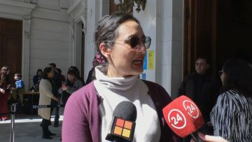 29082310 DECLARACIONES JAVIERA REYES 01