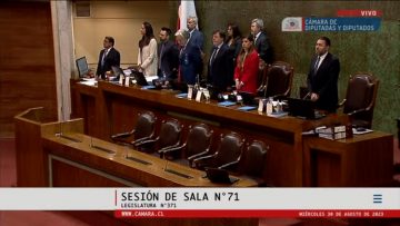 30082302 MINUTO DE SILENCIO POR GUILLERMO TEILLIER EN LA CAMARA DE DIPUTADOS. 01