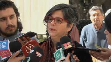 30082304 DECLARACIONES CLAUDIA PASCUAL 01 (1)