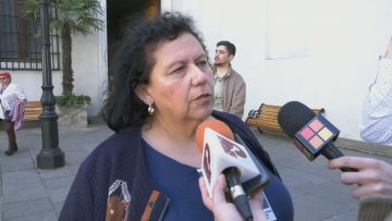 30082312 DECLARACIONES LORENA PIZARRO 02