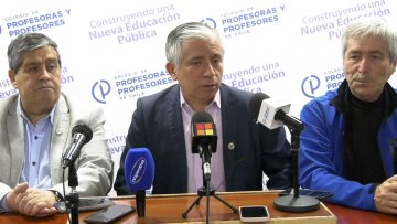 31082305 COLEGIO DE PROFESORES INFORMA REALIZACIÓN DE CONSULTA NACIONAL DOCENTE 02