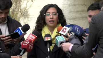 03092302 DECLARACIONES DE LA DIPUTADA GAEL YEOMANS 02