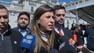11092343 DECLARACIONES DANIELA CICARDINI02