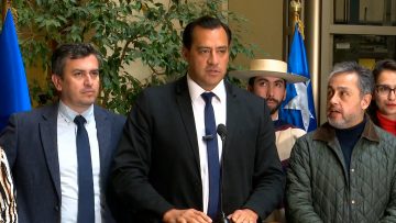 130923C02 DIPUTADOS 2 02