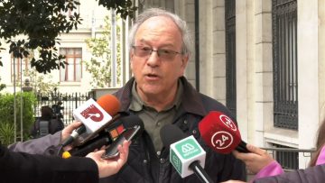 DECLARACIONES DEL DIPUTADO TOMÁS HIRSCH 02