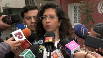 01102305 DECLARACIONES DE LA DIPUTADA GAEL YEOMANS 02