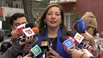 01102306 DECLARACIONES DE LA SENADORA PAULINA VODANOVIC 01