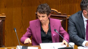 031023C10 APOYO MINISTRA TOHÁ EN SESIÓN DEL SENADO 01