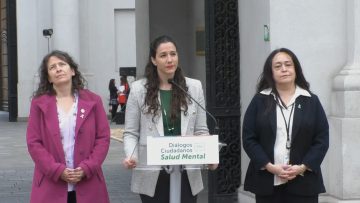 10102304 SUBSECRETARIOS Y SEREMIS POR SALUD MENTAL 00