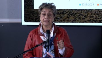 11102304 BALANCE HIDRICO NACIONAL 02