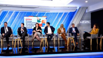 16102303 SEMINARIO SOFOFA PROCESO CONSTITUCIONAL 02