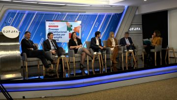 16102304 APOYO SEMINARIO SOFOFA PROCESO CONSTITUCIONAL 01