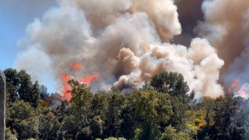 17102311 ALERTA ROJA POR INCENDIO EN CHILOÉ 07