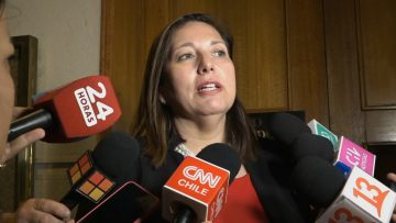 241023C06 DECLARACIONES PAULINA VODANOVIC POR USURPACIONES 02