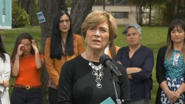 25102306 EVELYN MATTHEI SE REFIERE A PROCESO CONSTITUYENTE 03