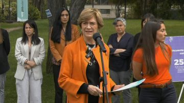 25102307 PROVIDENCIA DA A CONOCER DEFENSORÍA COMUNAL DE LA MUJER 12