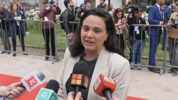 071123CC20 DECLARACIONES DE LA EXPERTA ANTONIA RIVAS 01