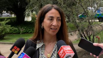 071123CC38 DECLARACIONES DE CECILIA PÉREZ 02