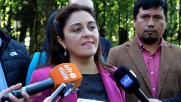 08112310 TITULOS DE DOMINIO LA ARAUCANIA 05 (1)