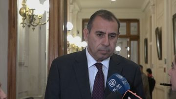 131123C02 DECLARACIONES DEL SENADOR SERGIO GAHONA 01 (1)
