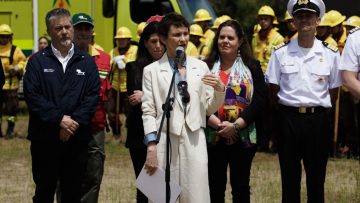 141123V01 DECLARACIONES MINISTRA DEL INTERIOR CAROLINA TOHÁ 18