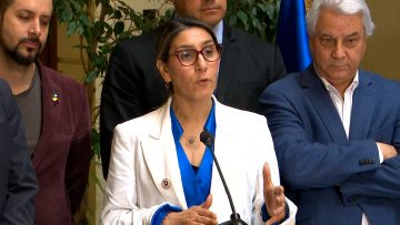 171123C08 DECLARACIONES DE LA DIPUTADA ERIKA OLIVERA 02 (1)