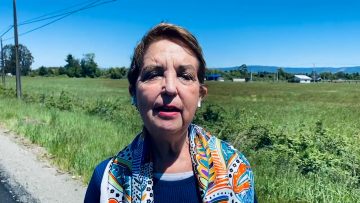 23112313 DECLARACIONES GLORIA HUTT 1