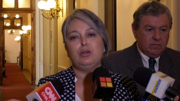 27112310 COMISIÓN DE TRABAJO DEL SENADO POR LEY KARIN 14