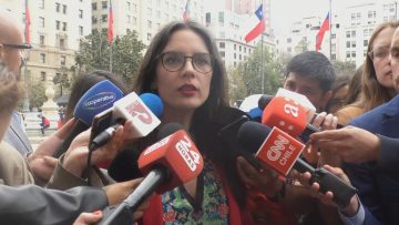 28112311 DECLARACIONES MINISTRA CAMILA VALLEJO EN LA MONEDA 06 (1)