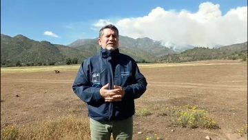 02122308 DECLARACIONES DEL DPP DE MARGA MARGA POR INCENDIO FORESTAL EN COLLIGUAY 01