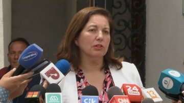 11122318 DECLARACIONES SENADORA PAULINA VODANOVIC 02 (1)