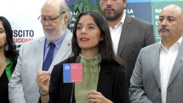 12122304 DECLARACIONES MINISTRA CAMILA VALLEJO 05 (1)